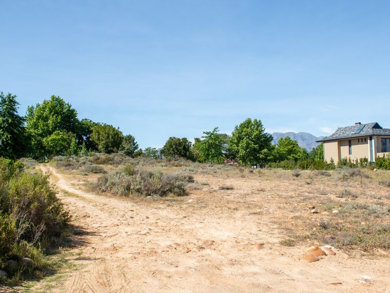 A vacant residential plot featuring a dirt access path, native vegetation, and mature trees with surrounding residential development in the background.
