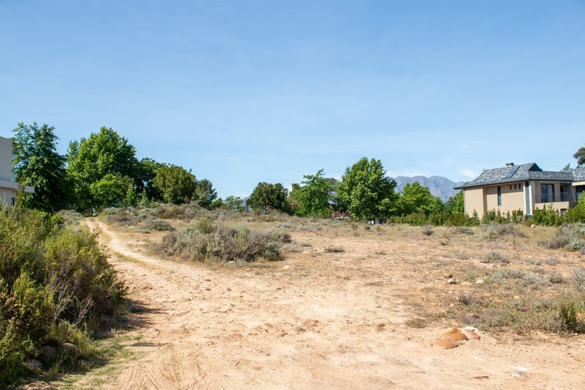 A vacant residential plot featuring a dirt access path, native vegetation, and mature trees with surrounding residential development in the background.