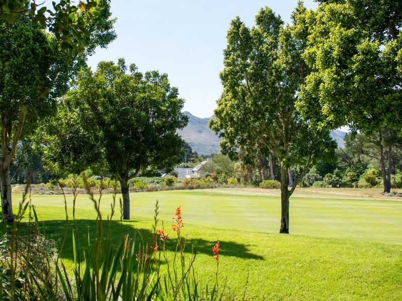 A scenic view of a well-maintained grassy landscape with mature trees and distant mountain vistas, showcasing the natural beauty of the property.