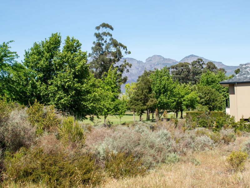 A scenic view of the surrounding landscape featuring mature trees and a mountain backdrop, showcasing the natural beauty of the property's environment.