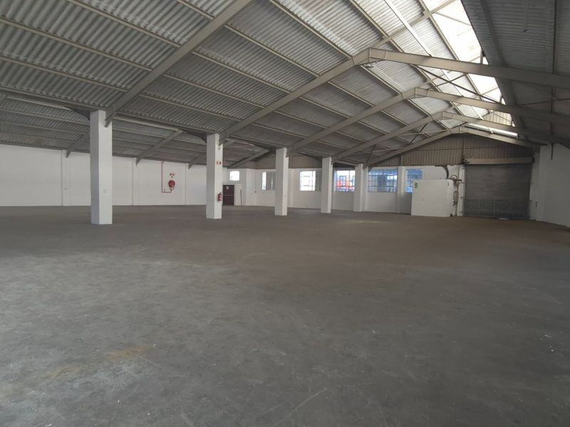 Spacious industrial warehouse featuring high ceilings, concrete flooring, a large roller shutter door, and natural light provided by integrated skylights.