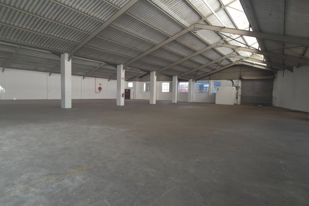 Spacious industrial warehouse featuring high ceilings, concrete flooring, a large roller shutter door, and natural light provided by integrated skylights.