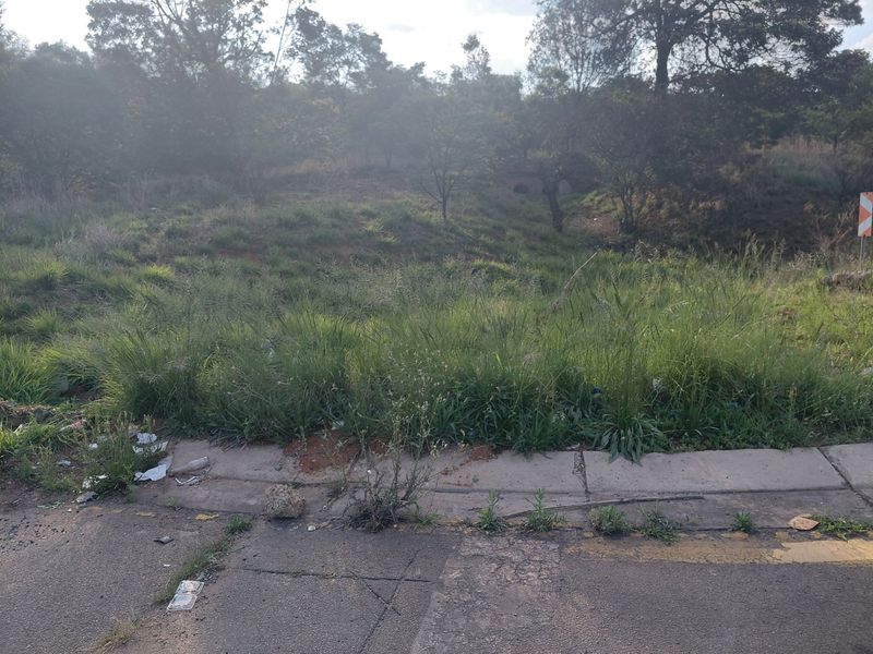 A view of a vacant commercial land plot featuring overgrown grass and direct access from an asphalt road.