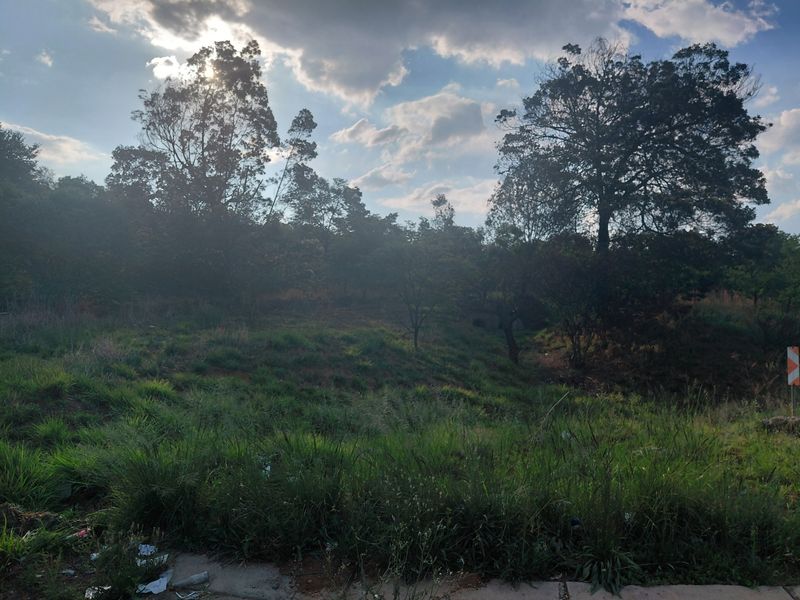 A view of a vacant commercial land plot featuring sloped terrain and mature trees under a cloudy sky.