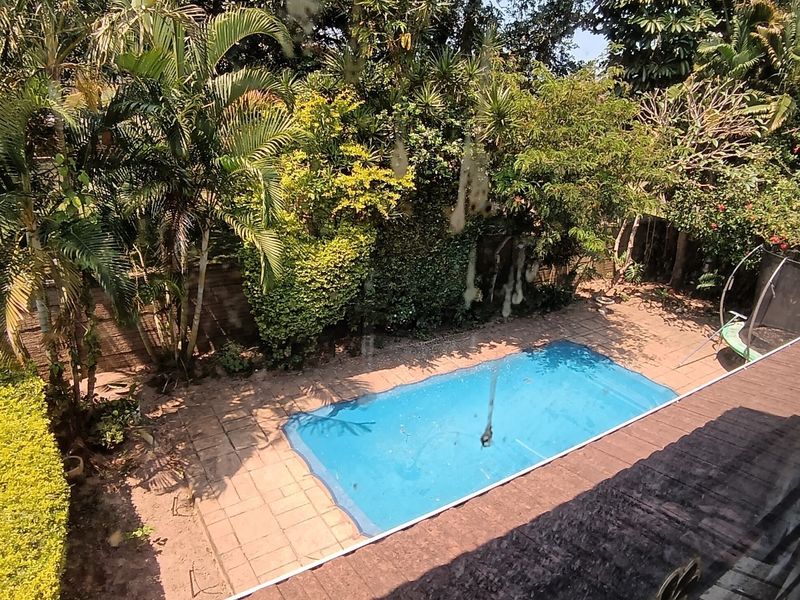 An elevated view of a backyard featuring a swimming pool surrounded by paved patio area and mature garden landscaping.