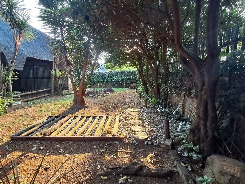 A shaded, mature garden area featuring established trees, a stone pathway, and a view of the adjacent thatched roof structure.