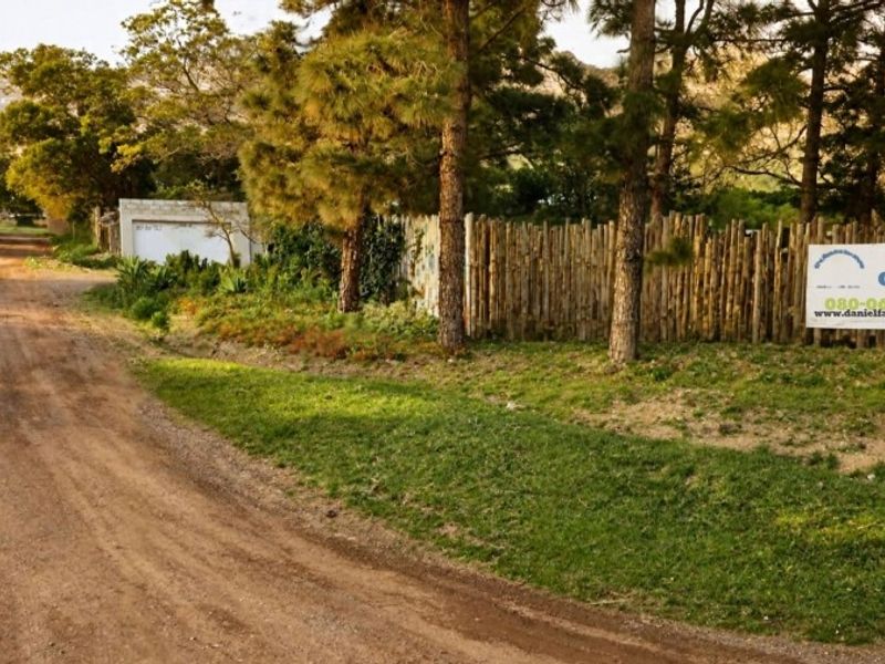 A rural dirt road approach to the property, featuring a natural wooden pole fence boundary and mature pine trees.