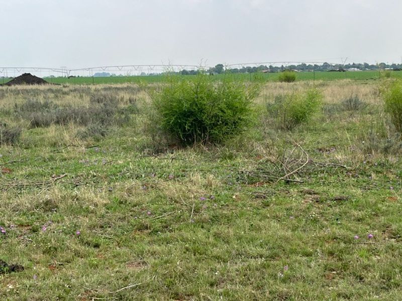 A view of the vacant residential land featuring natural grass, shrubs, and distant irrigation infrastructure.
