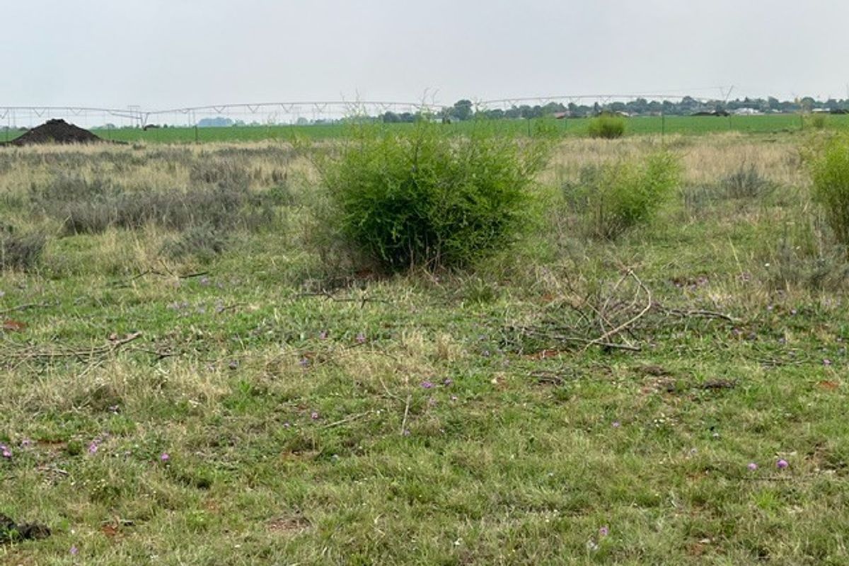 A view of the vacant residential land featuring natural grass, shrubs, and distant irrigation infrastructure.