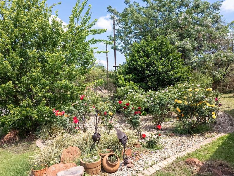 A well-maintained garden area featuring mature trees, established rose bushes, gravel landscaping, and neat brick edging.