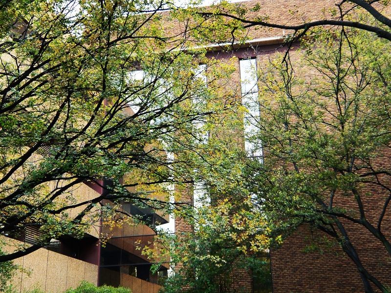 A view of the commercial building's brick facade, featuring vertical windows and balcony structures partially obscured by mature trees.