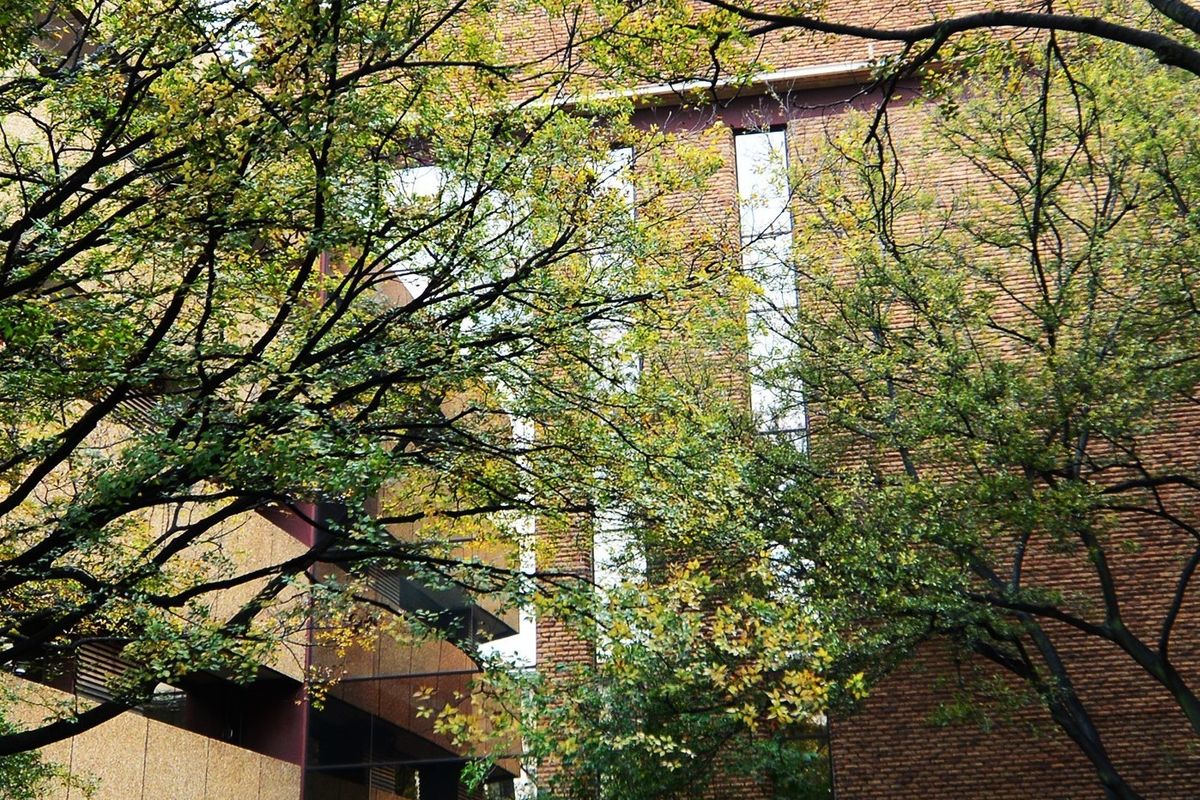 A view of the commercial building's brick facade, featuring vertical windows and balcony structures partially obscured by mature trees.