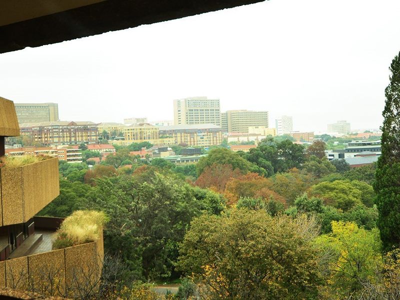 Elevated urban view overlooking a lush green canopy and surrounding city skyline from a private balcony.