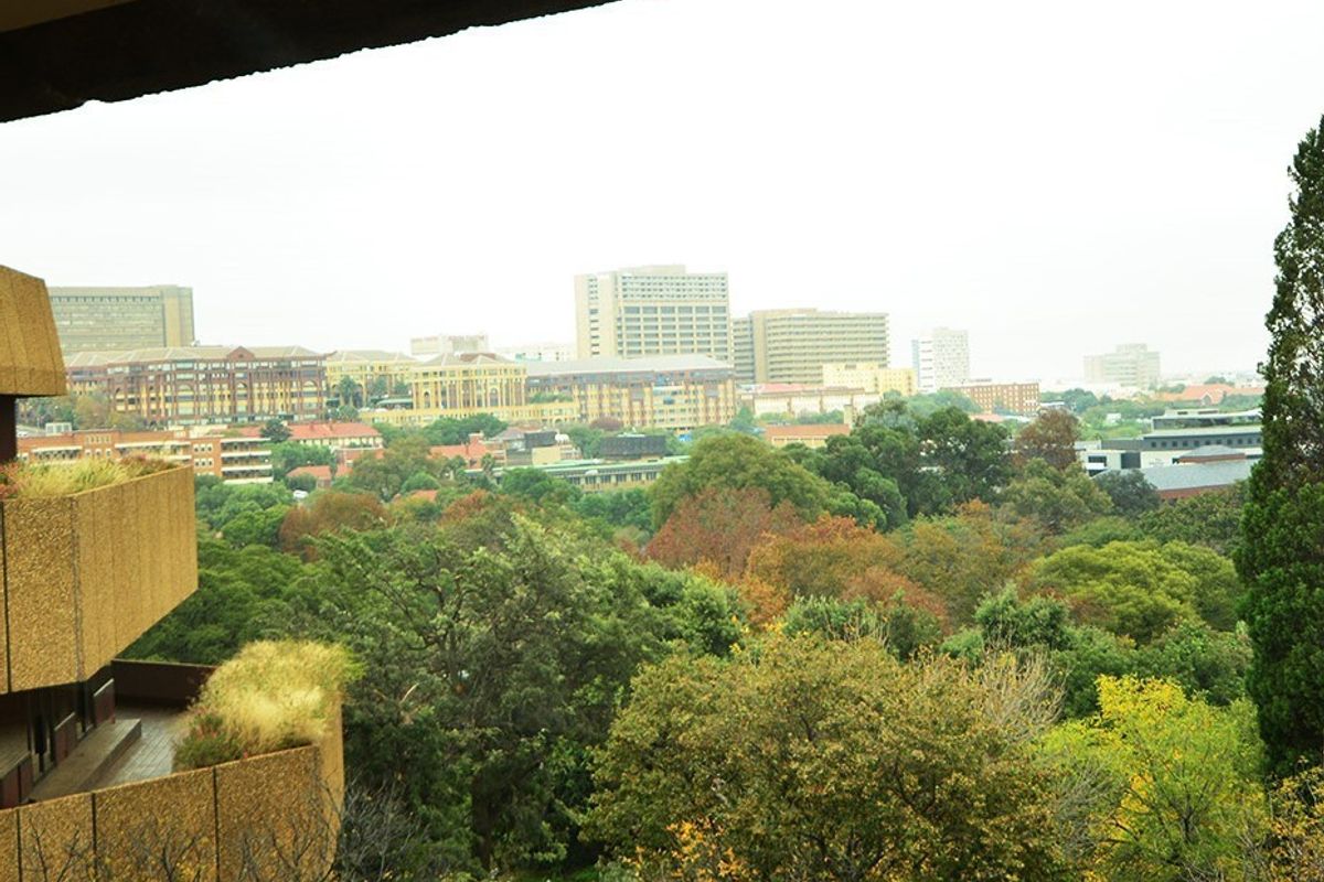 Elevated urban view overlooking a lush green canopy and surrounding city skyline from a private balcony.