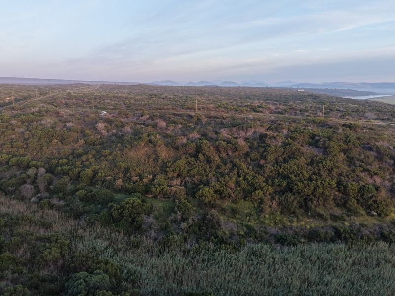 An aerial view of the expansive farm landscape featuring natural vegetation, rolling terrain, and distant horizon views.