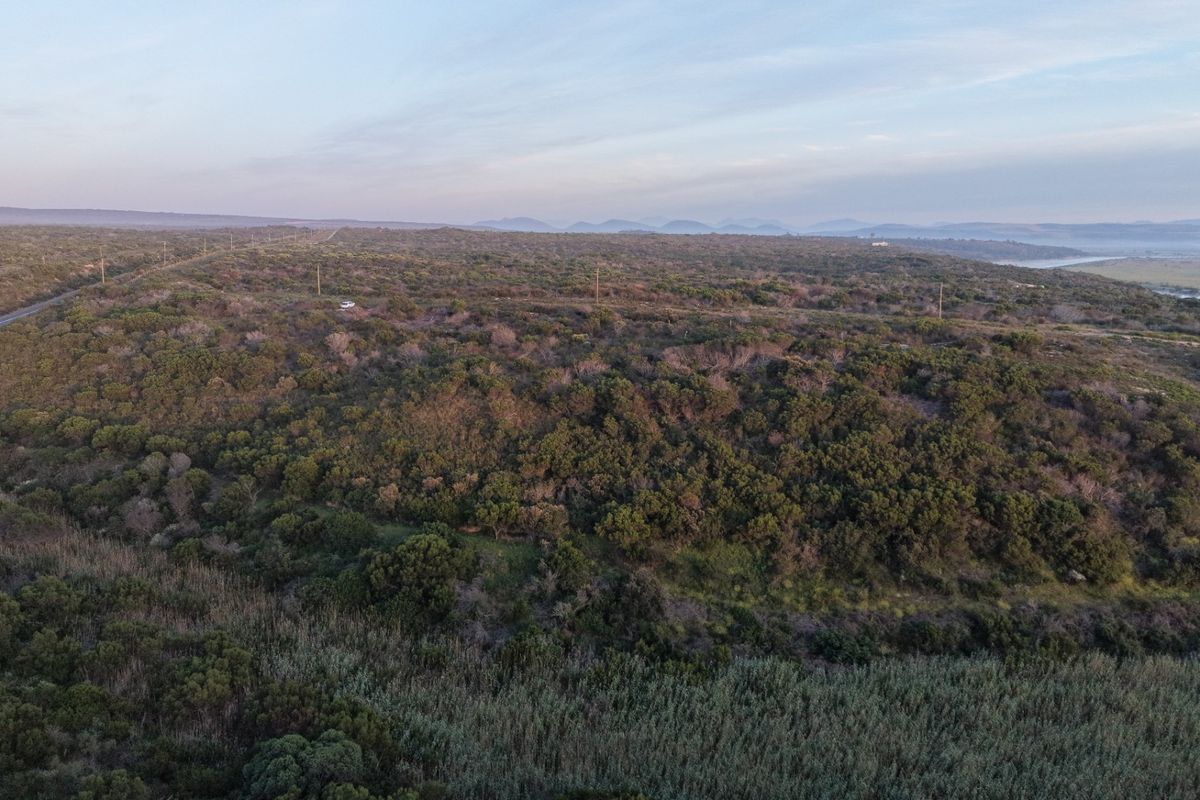 An aerial view of the expansive farm landscape featuring natural vegetation, rolling terrain, and distant horizon views.
