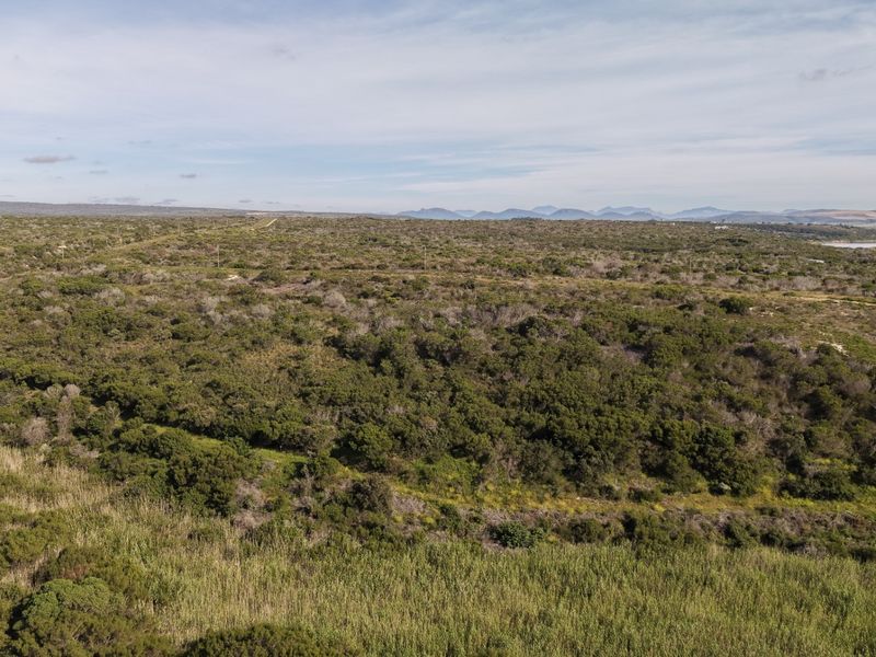 An expansive aerial view of the farm property showcasing the natural landscape, indigenous vegetation, and distant mountain vistas.