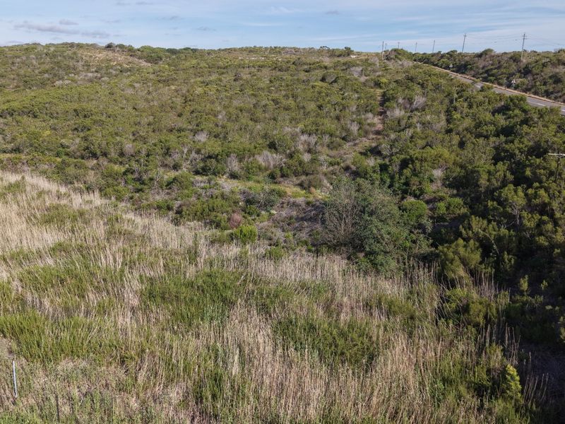 An aerial view of the expansive farm property featuring natural vegetation and bordering a paved road.