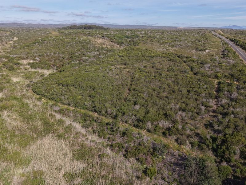 Aerial view of a large, undeveloped farm property featuring natural vegetation and adjacent road access.