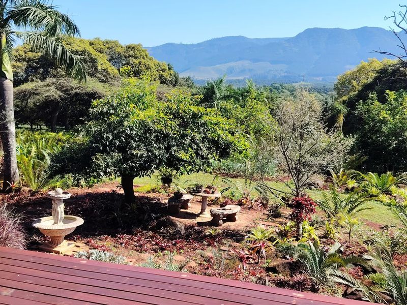 46-Hectare Nut Farm with Modern Home, Solar Power and Mountain Views - Photo 3