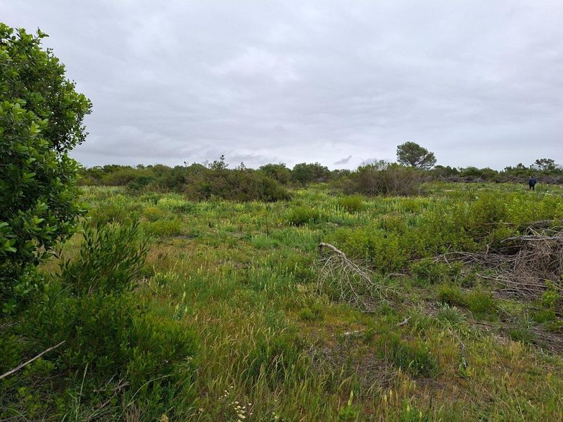 An expansive, undeveloped natural landscape featuring native vegetation and open terrain, characteristic of rural farm property.