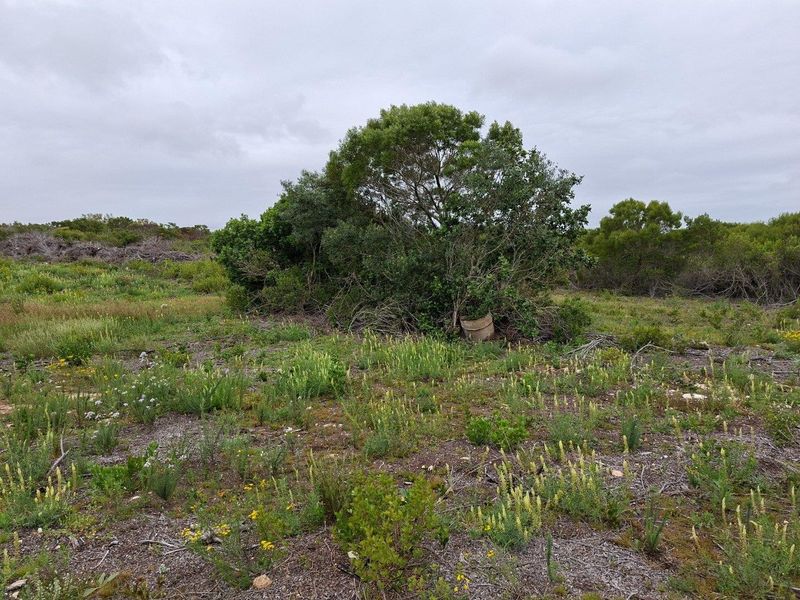 An expansive view of the natural farm landscape featuring native vegetation and open terrain.