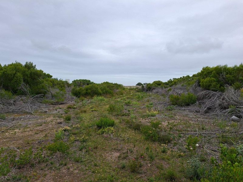 An expansive, undeveloped plot of land featuring natural native vegetation and open terrain, suitable for agricultural or residential development.