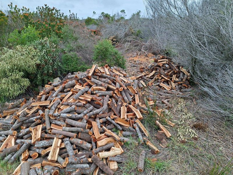 A large pile of harvested firewood situated within the natural landscape of the farm property.