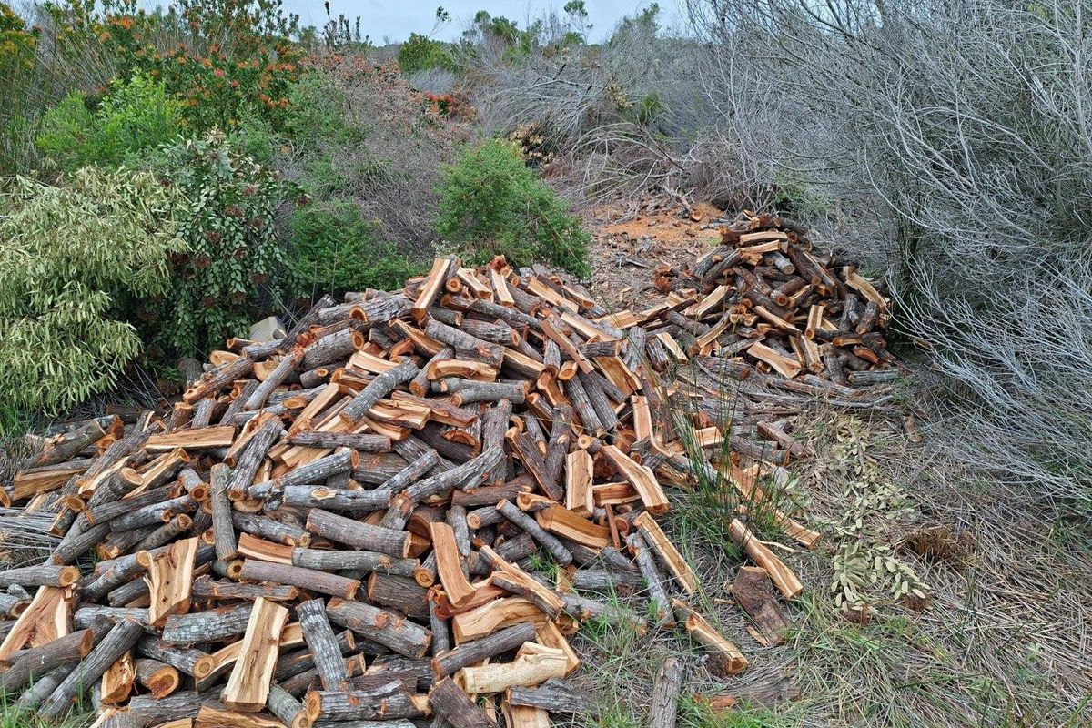 A large pile of harvested firewood situated within the natural landscape of the farm property.