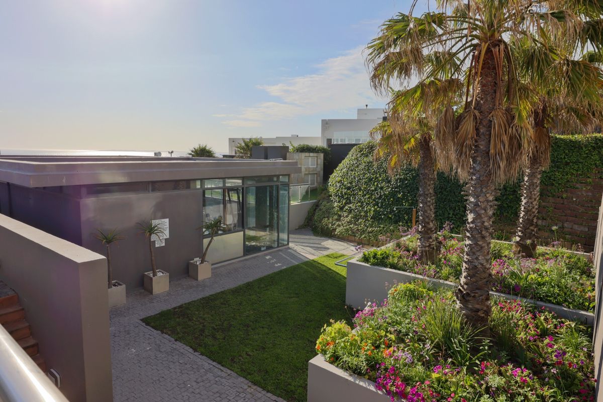 A well-maintained rear courtyard featuring paved walkways, raised garden beds with mature palms, and a modern structure with large glass windows.