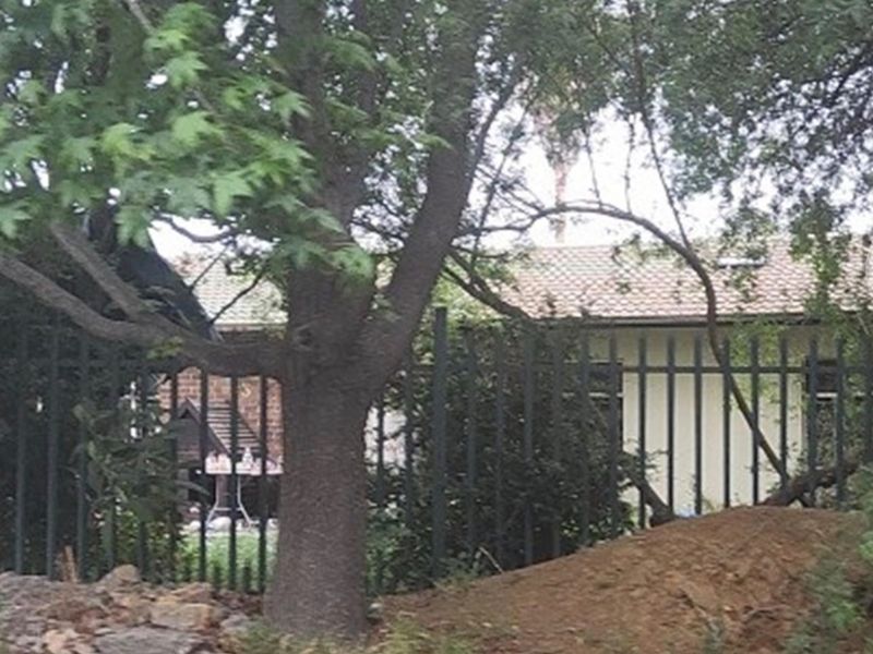 Rear view of the property showing a tiled roof, brick exterior, and metal security fencing obscured by mature trees and unmaintained ground.