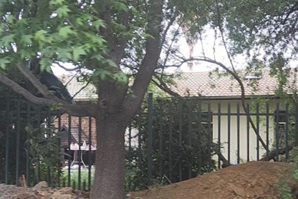 Rear view of the property showing a tiled roof, brick exterior, and metal security fencing obscured by mature trees and unmaintained ground.