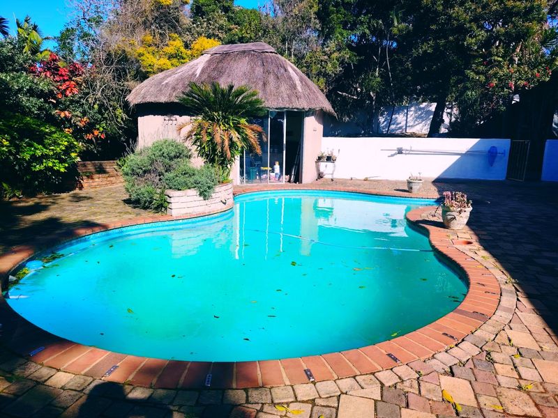 Outdoor pool area featuring a swimming pool, brick paving, and a thatched roof lapa structure in the garden.