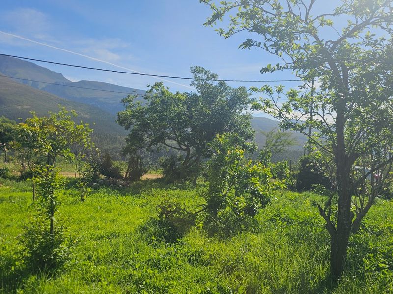 A lush green garden area featuring mature trees and expansive lawn, set against a scenic mountain backdrop.