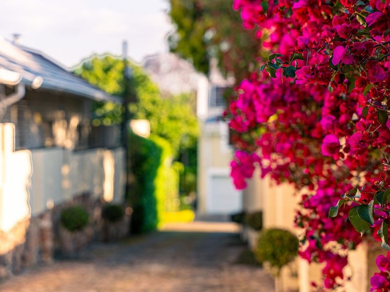 A charming residential driveway entrance featuring stone wall detailing and vibrant bougainvillea, creating an inviting and well-maintained approach to the property.