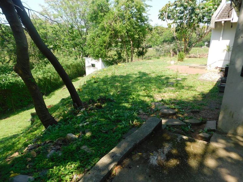 A view of the rear garden area featuring a concrete patio, stepped lawn, and mature trees, showing signs of wear and maintenance requirements.
