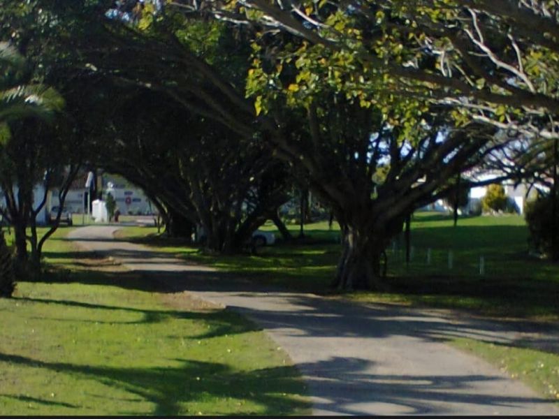 A view of the property approach featuring a paved driveway lined with mature trees and well-maintained lawn areas.