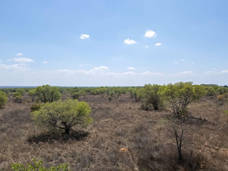 Expansive view of the natural farm landscape featuring native trees and open veld terrain under a clear blue sky.