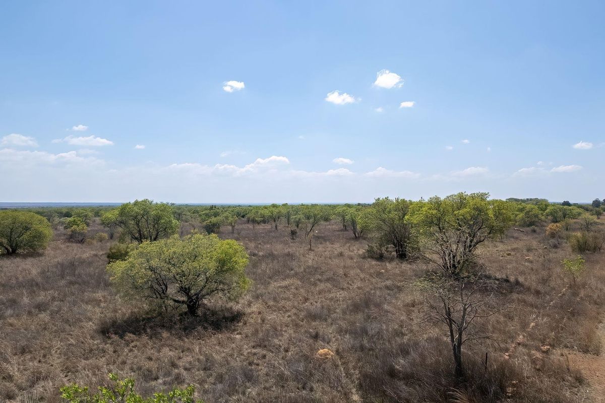 Expansive view of the natural farm landscape featuring native trees and open veld terrain under a clear blue sky.