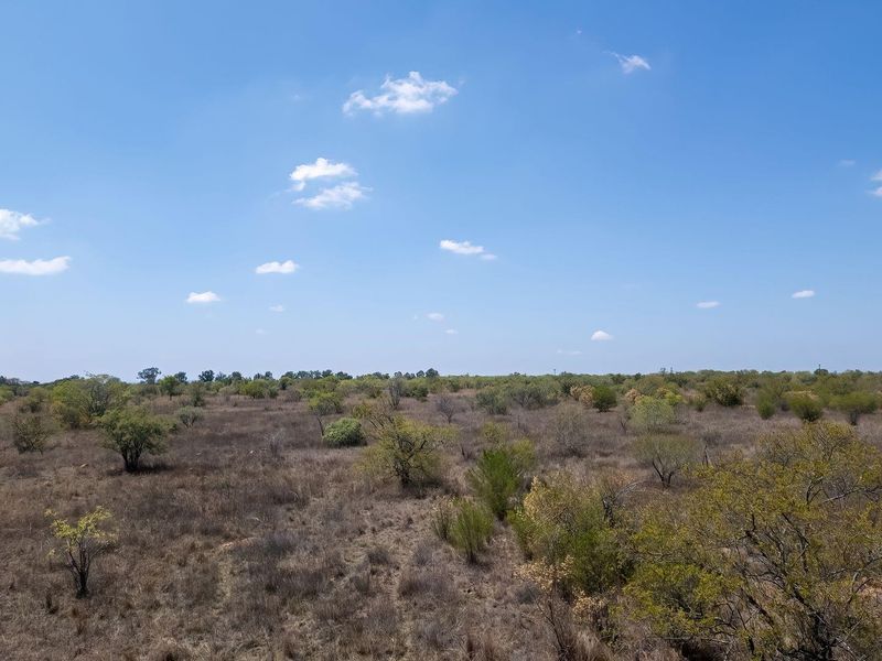 A wide-angle view of the expansive natural farm landscape featuring native vegetation and a dirt access track under a clear blue sky.