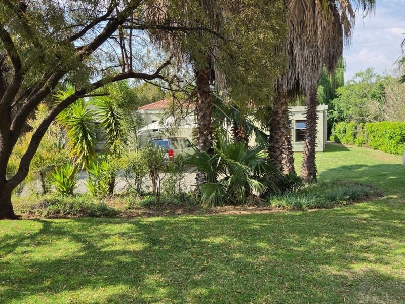 A spacious, well-maintained garden featuring mature trees, established palm trees, and a large green lawn area.
