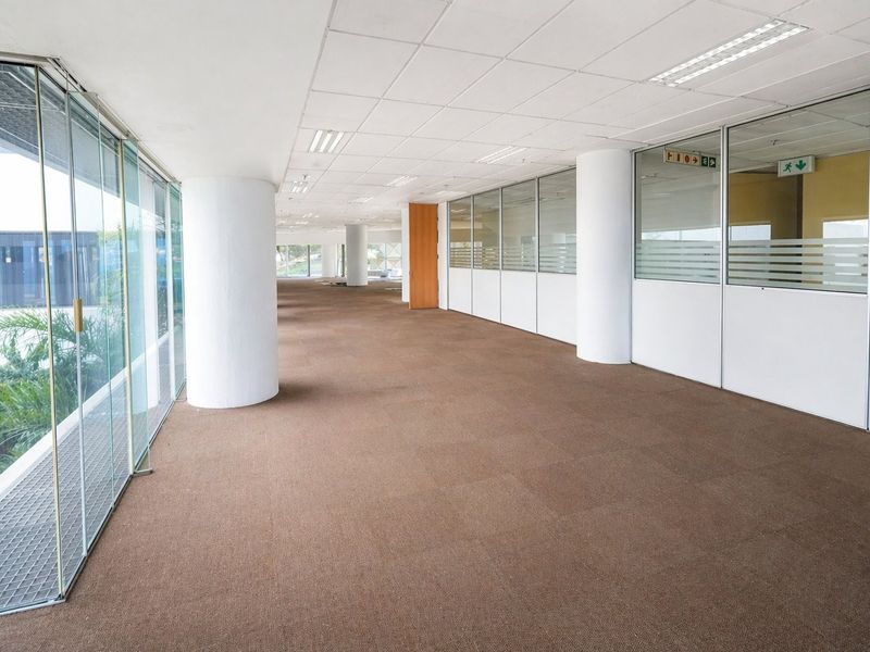 Spacious open-plan commercial office area featuring glass partitions, suspended ceilings, recessed lighting, and carpeted flooring.