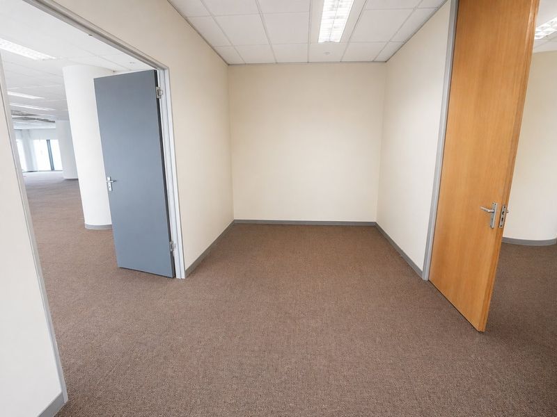 An empty, carpeted office space featuring a suspended ceiling with recessed lighting and two interior doors.