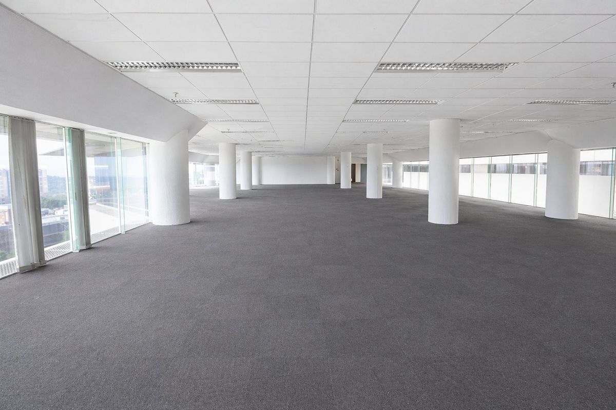 Spacious open-plan commercial office area featuring large floor-to-ceiling windows, carpeted flooring, and a suspended ceiling with integrated lighting.