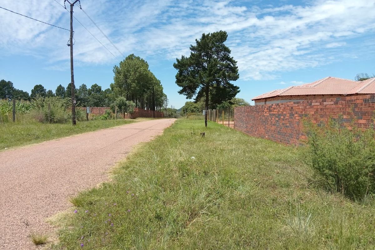 A view of a gravel road frontage featuring a brick boundary wall, utility pole, and surrounding natural landscape.