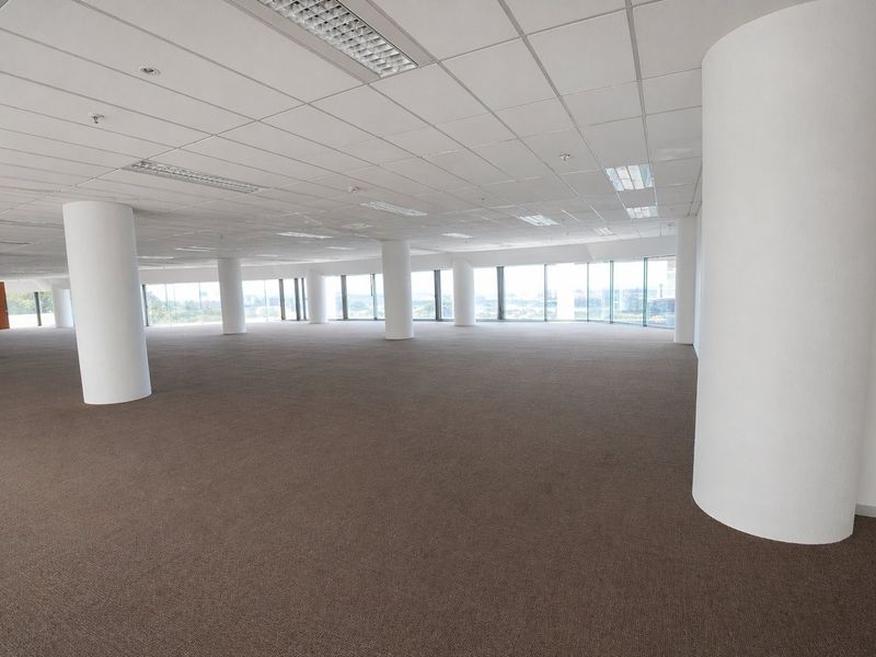 A spacious, open-plan commercial office area featuring large windows, structural columns, carpeted flooring, and a suspended ceiling with recessed lighting.