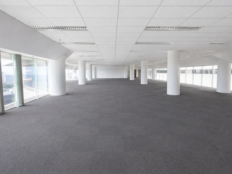 Spacious open-plan commercial office area featuring large floor-to-ceiling windows, carpeted flooring, and a suspended ceiling with integrated lighting.