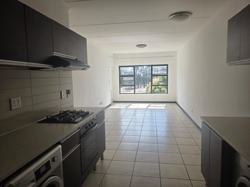 An open-plan kitchen and living area featuring modern dark cabinetry, a gas hob, tiled flooring, and large windows providing natural light.