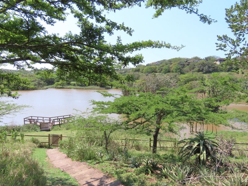 A scenic view of a lake featuring a wooden jetty, a stone pathway, and natural landscaping on a residential property.