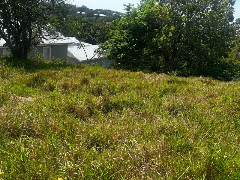 A view of a sloped, grass-covered residential plot featuring mature trees and surrounding neighborhood greenery.